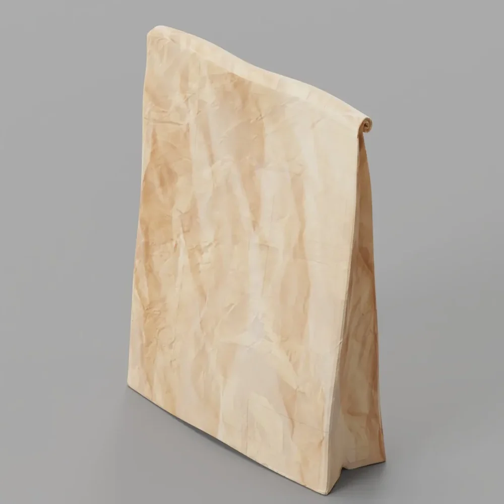 Paper Shopping Bag