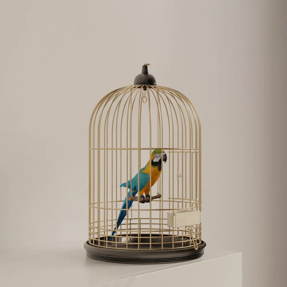 Golden Cage Macaw