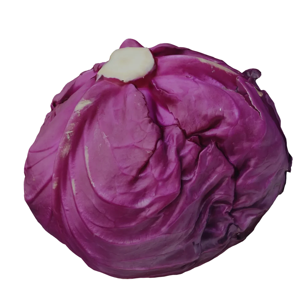Scanned Cabbage