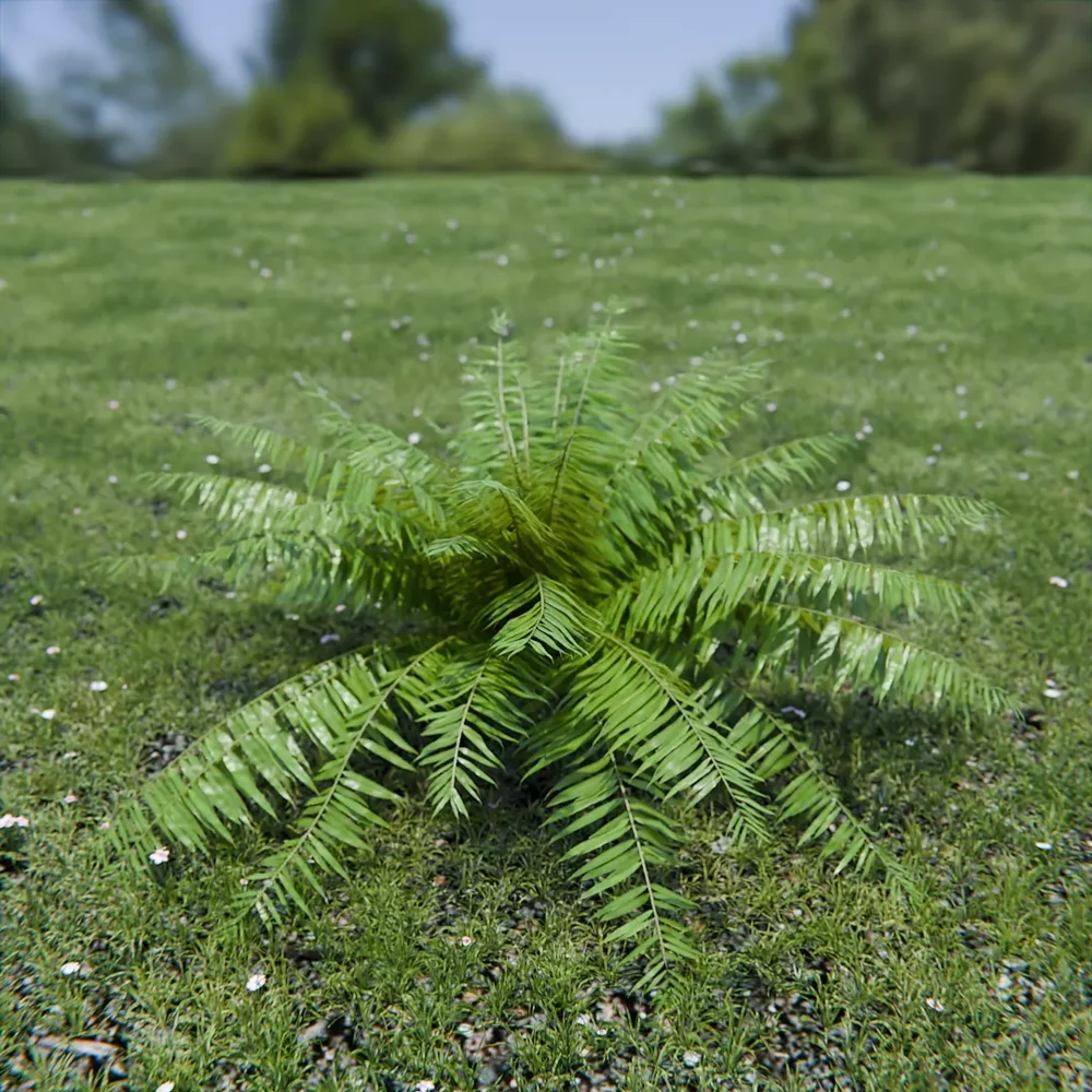 Hard Fern