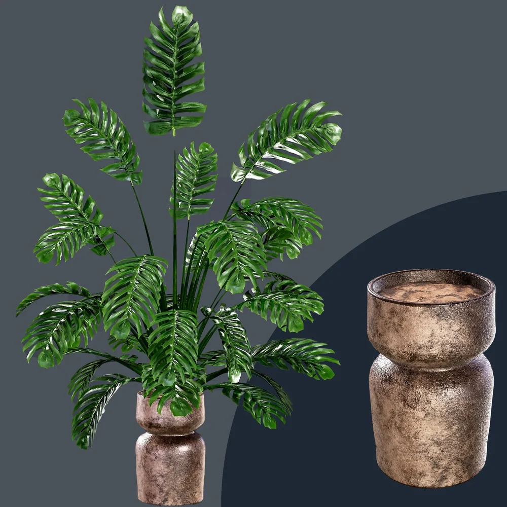 Sj-Monstera 07