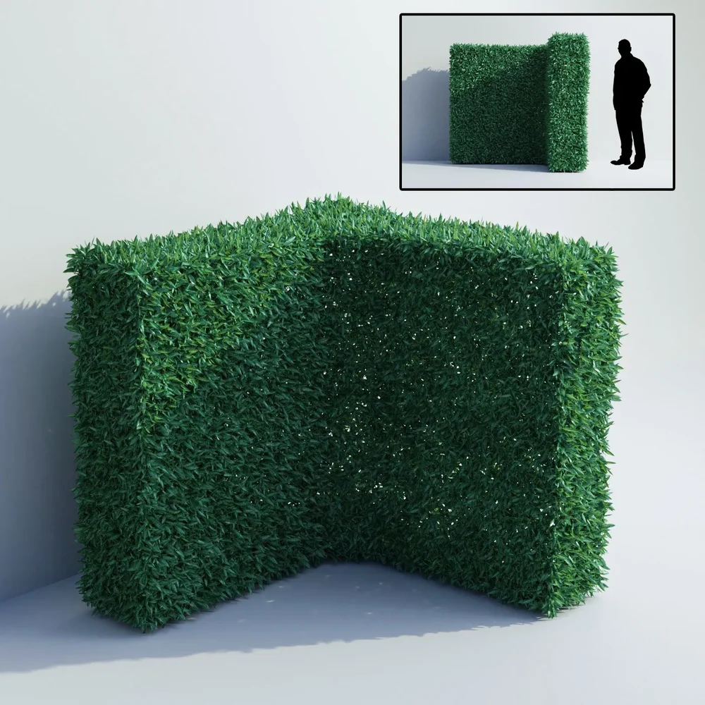 Perfect Trimmed Laurel Hedges Corner