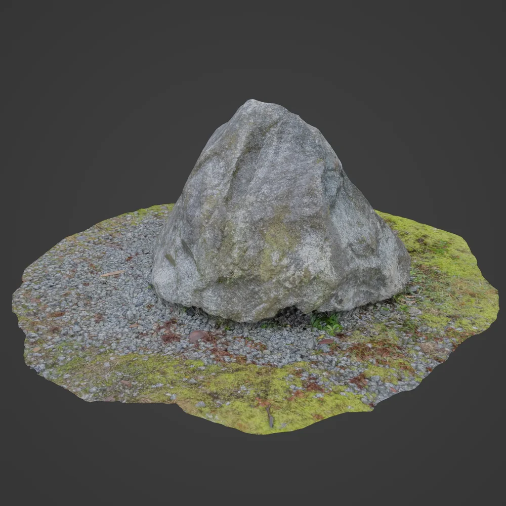Rock In A Forest 3
