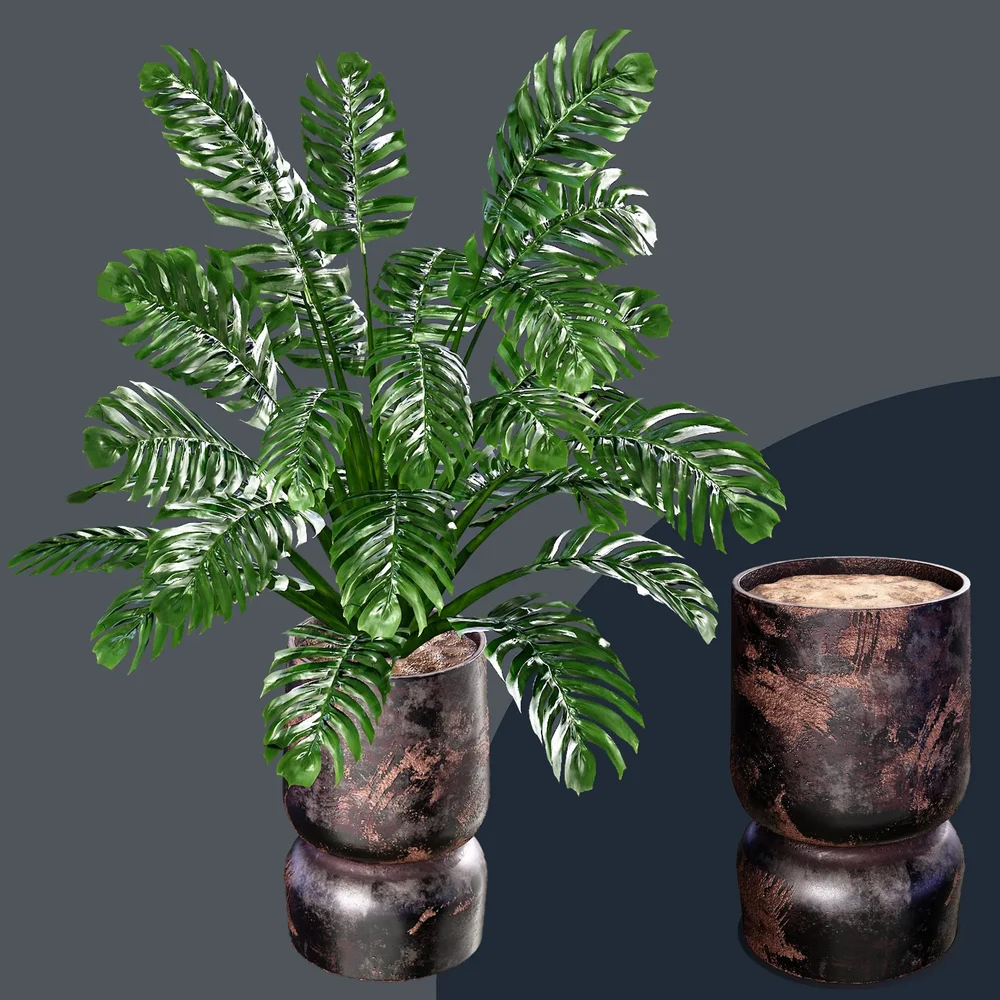 Sj-Monstera 01