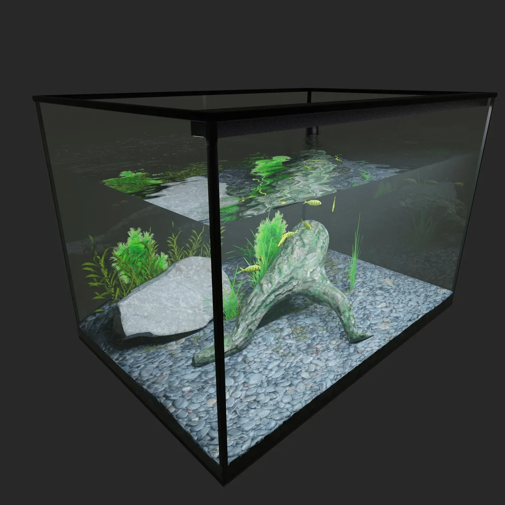 Aquarium With Fish (Cycles Only)