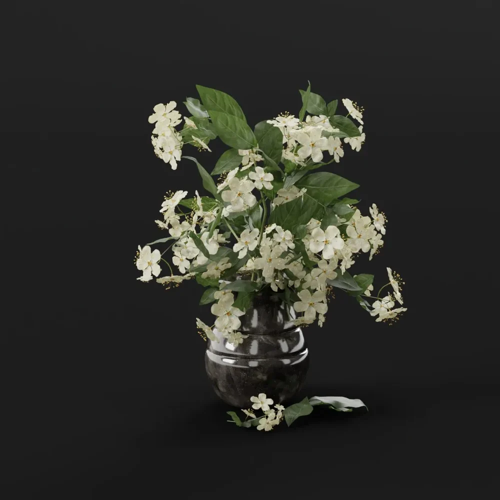 White Blossom