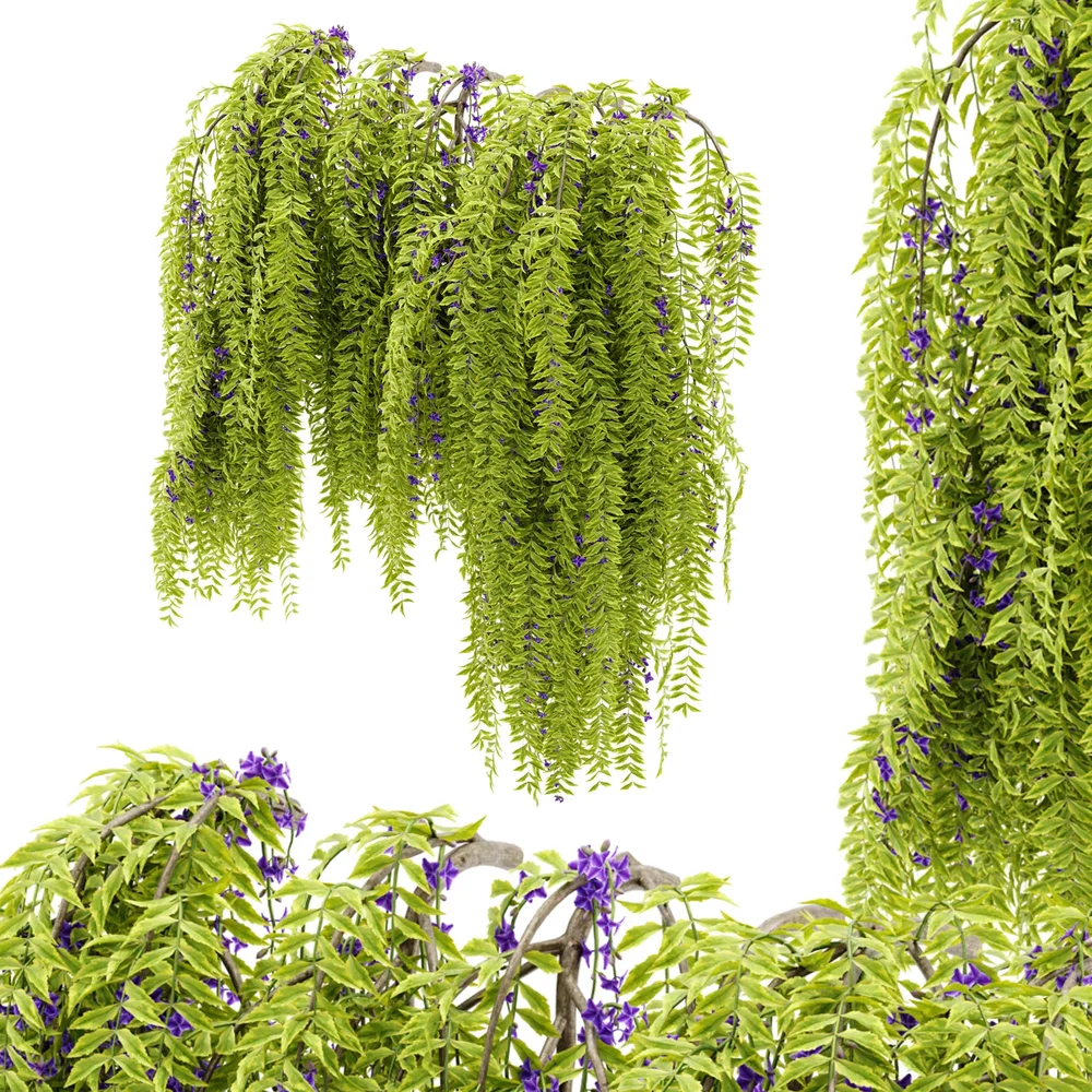 Flower Hanging Wall Plant