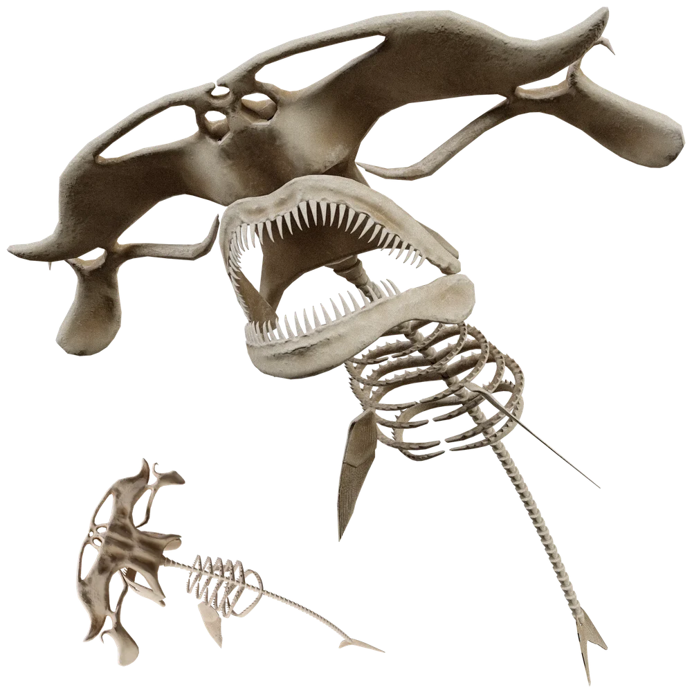 Skeleton