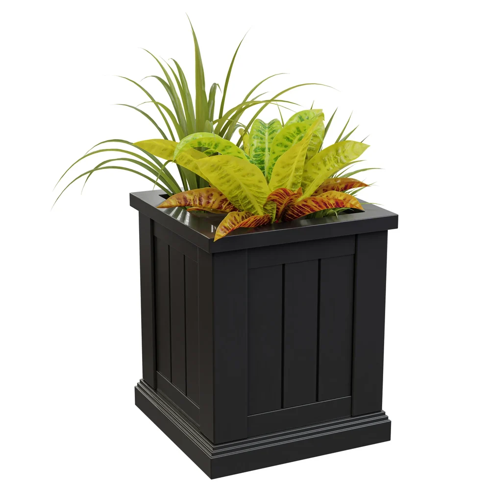Potted Bromeliad In Square Planter
