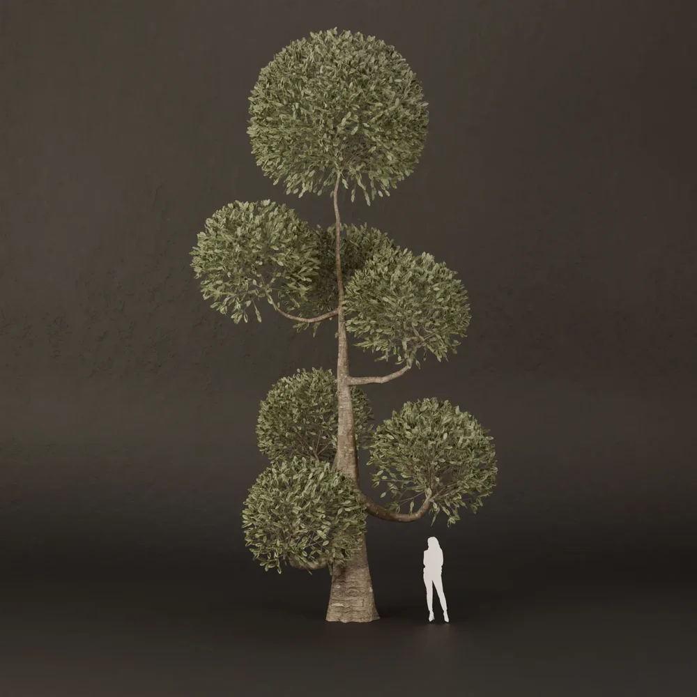 Sj-Ornamental Tree Swing Light