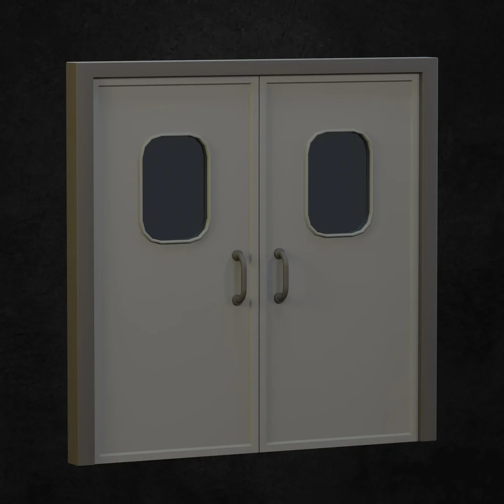 Hospital Door