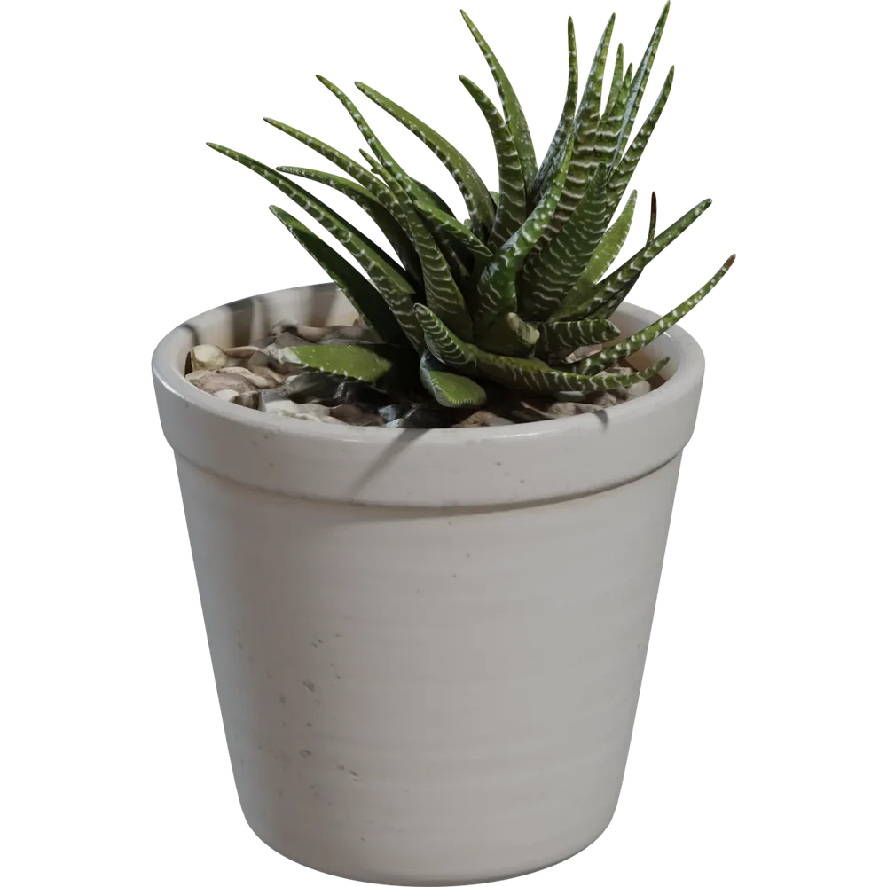 Potted Plant 04