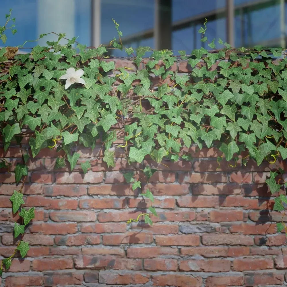 Ivy Creeper Ledge 2m 01 01