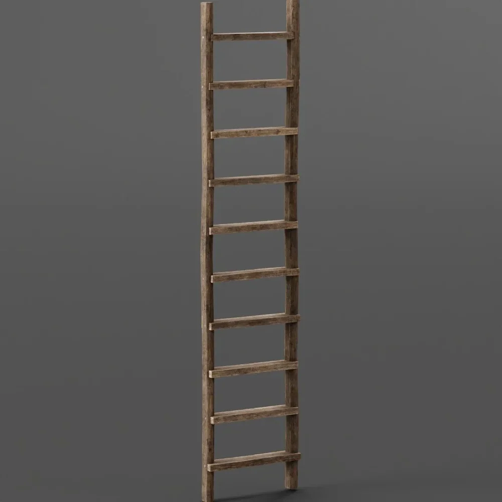 Ladder