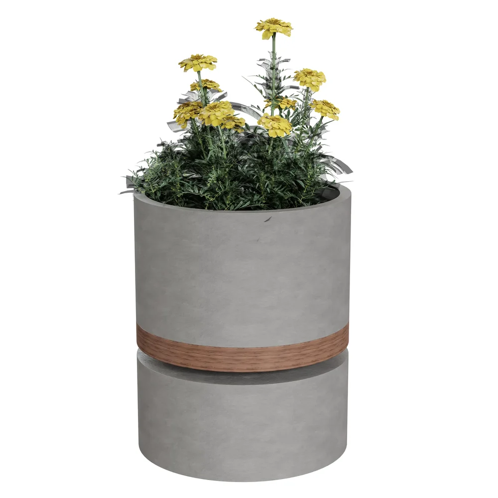 Round Concrete Planter