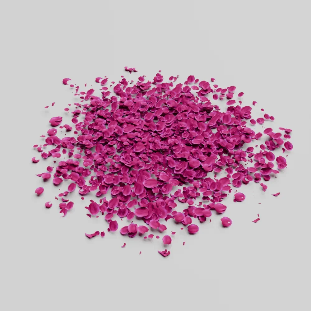 Scattered Rose Petals Pink