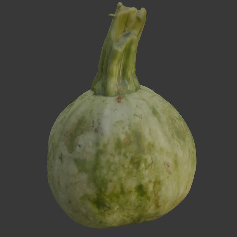 Scanned Kadu Vegetable