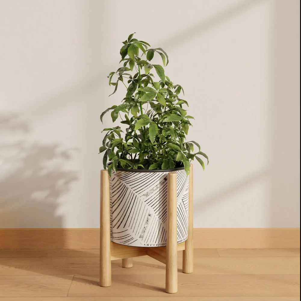 Indoor Plant Stand
