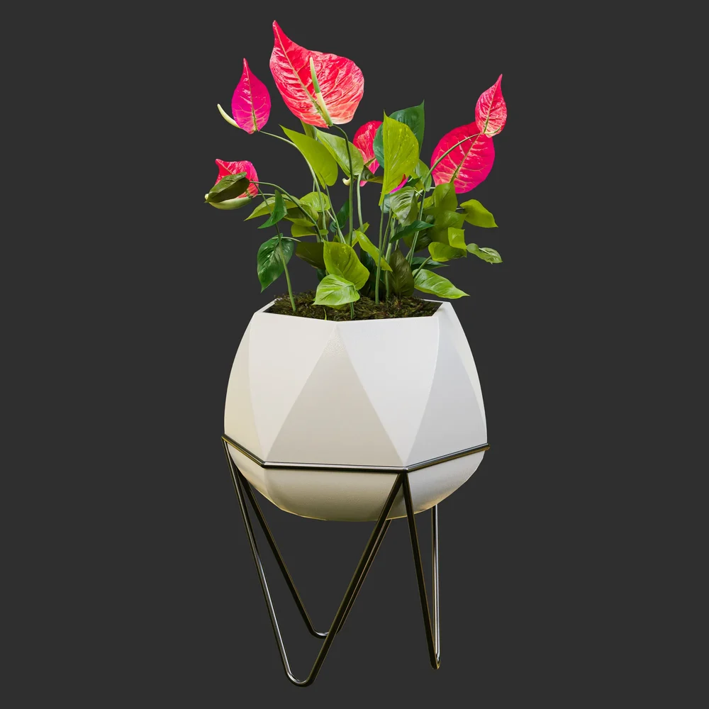 Anthurium In Faceted