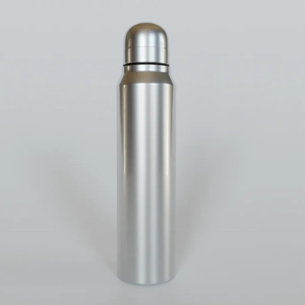 Stainless Steel Water Bottle