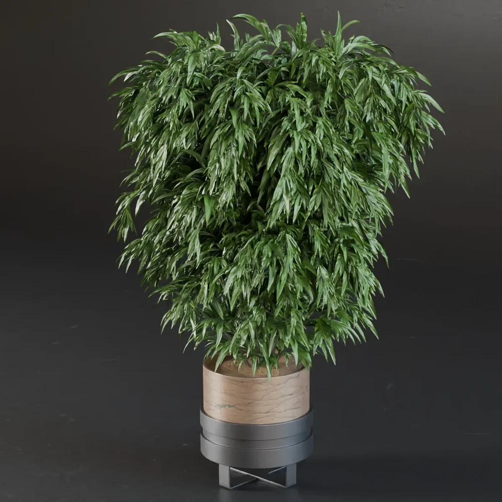 Mk-Indoor Plant 01