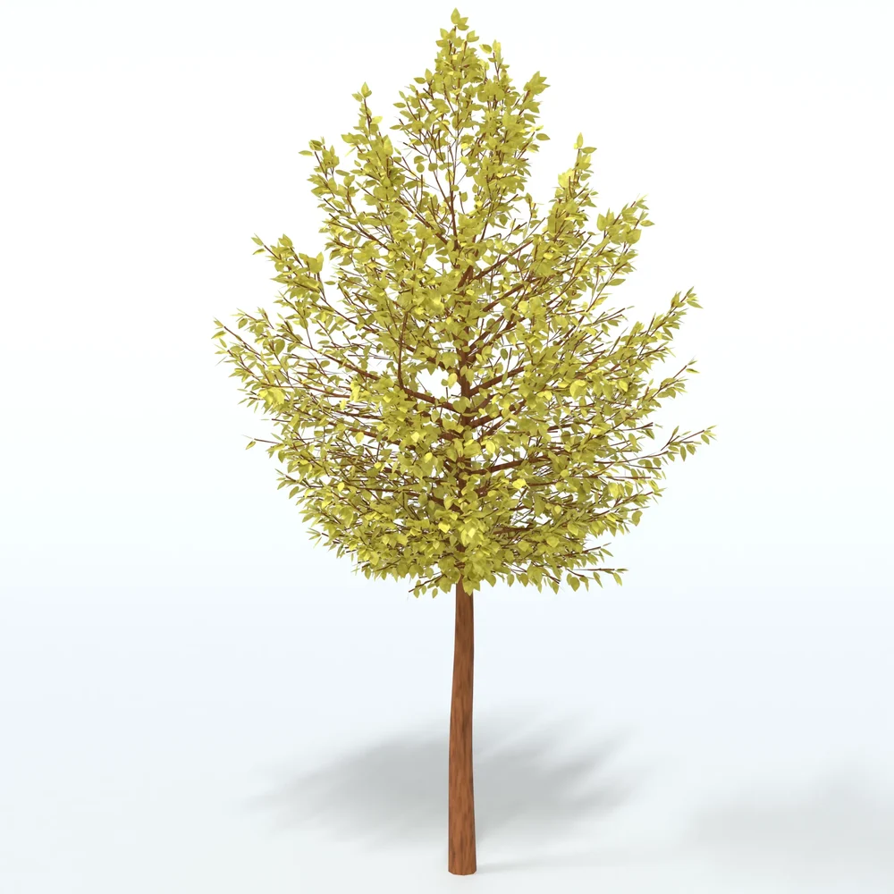 Cartoon Tree