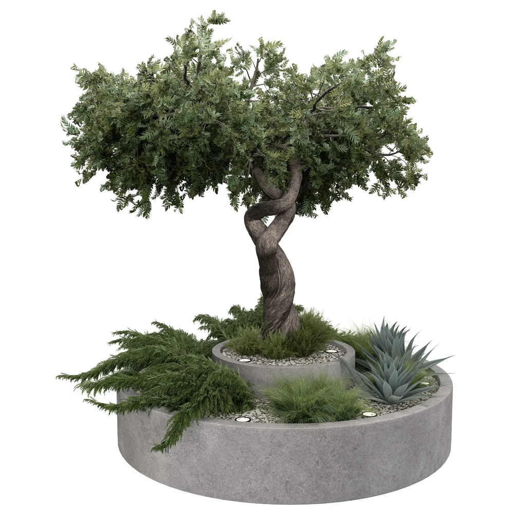 Twisted Tree Planter