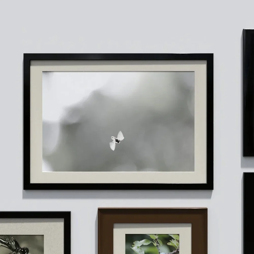 Photo Frame 'Anyframe' With A Bee