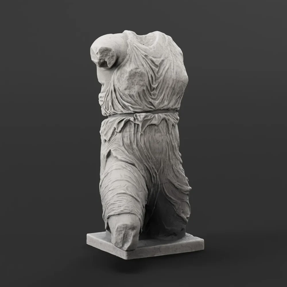 Torso Of A Woman Iris