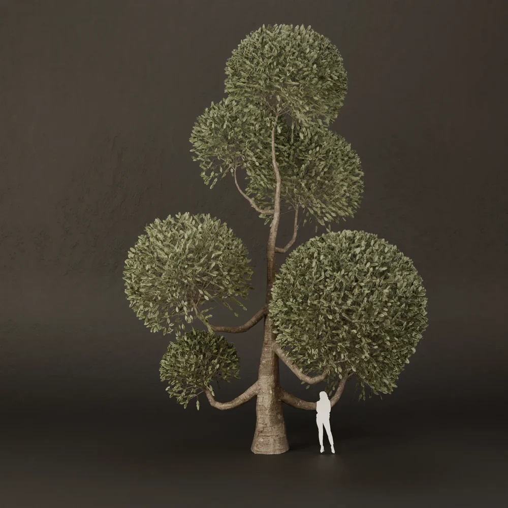 Sj-Ornamental Tree Arch Touch