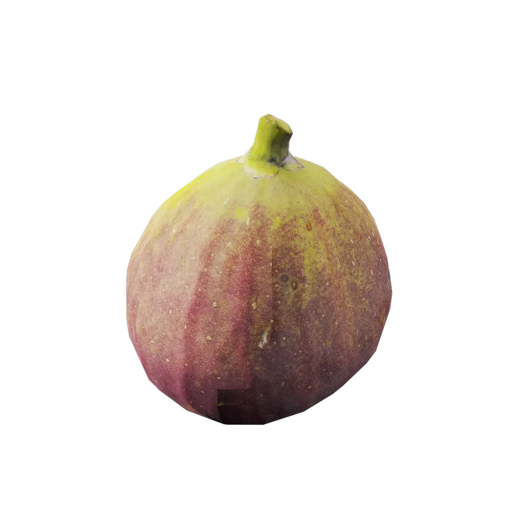 Ficus Carica