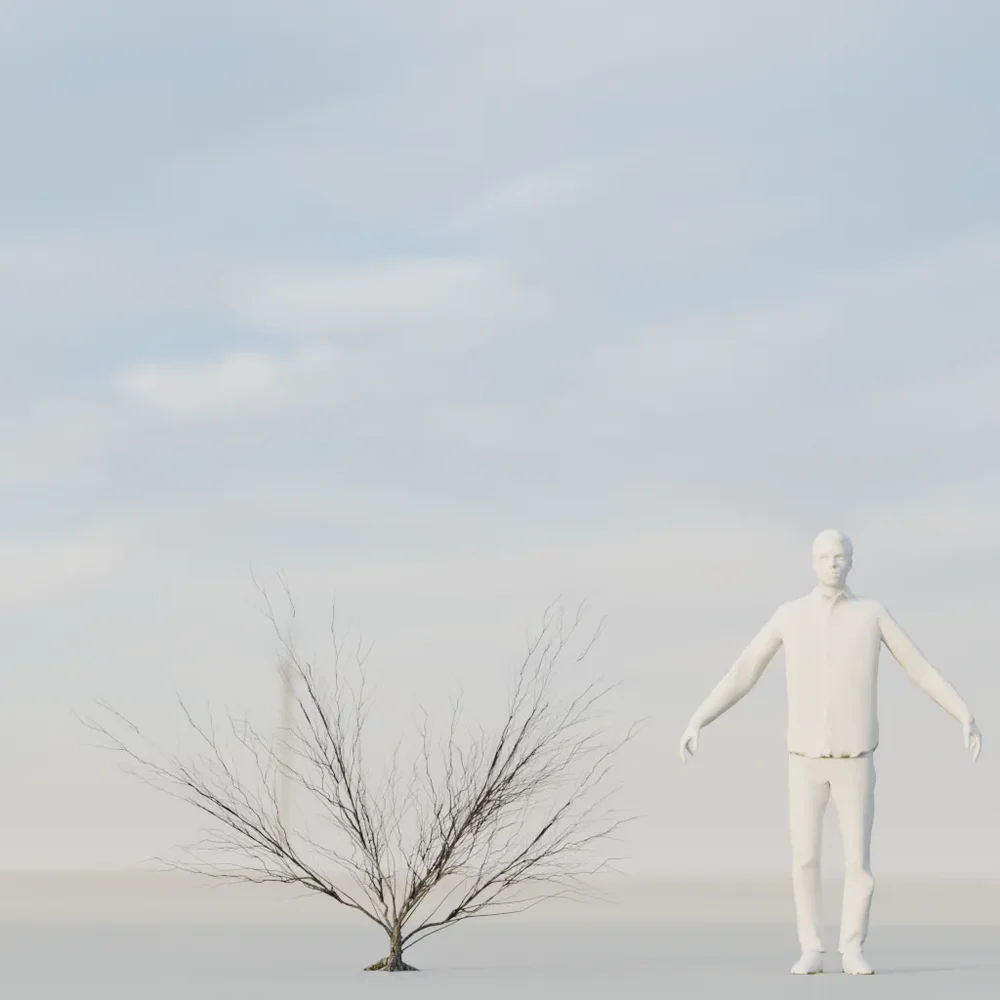 Dry Bush Low Poly