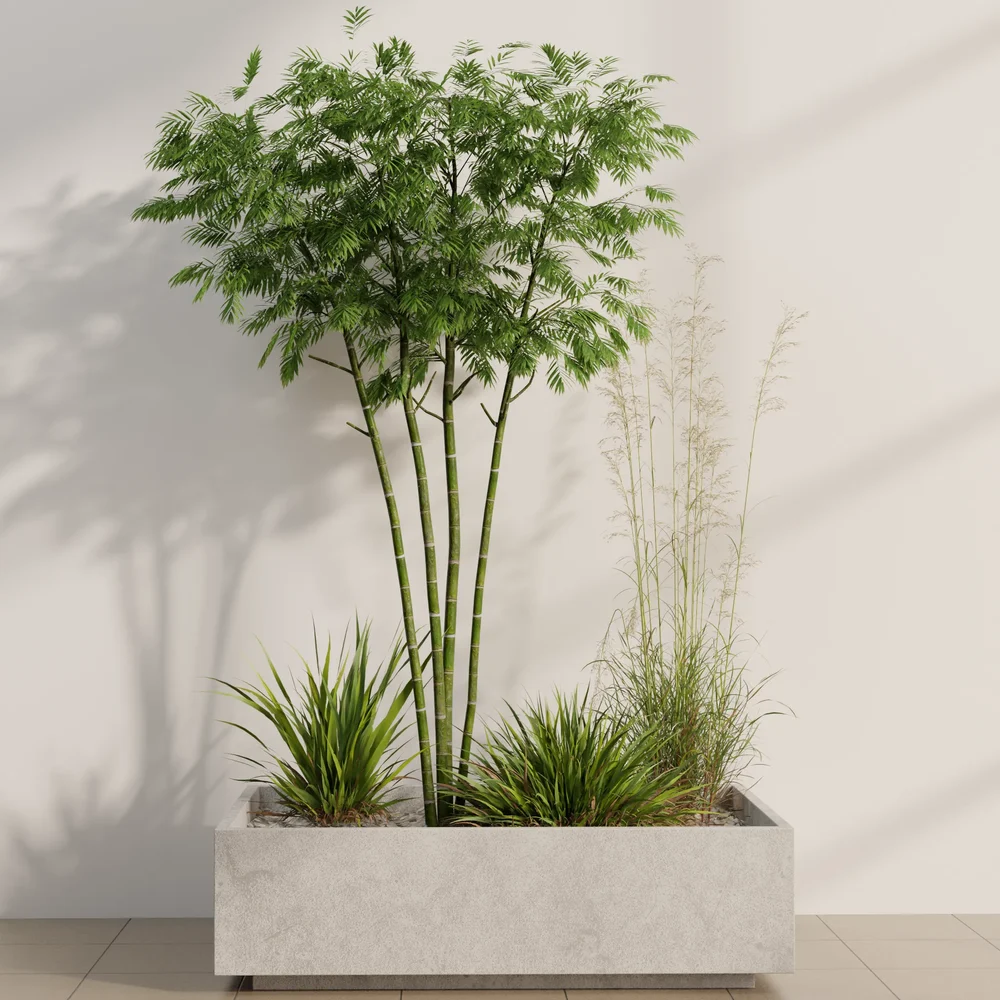 Tropical Serenity Planter Set