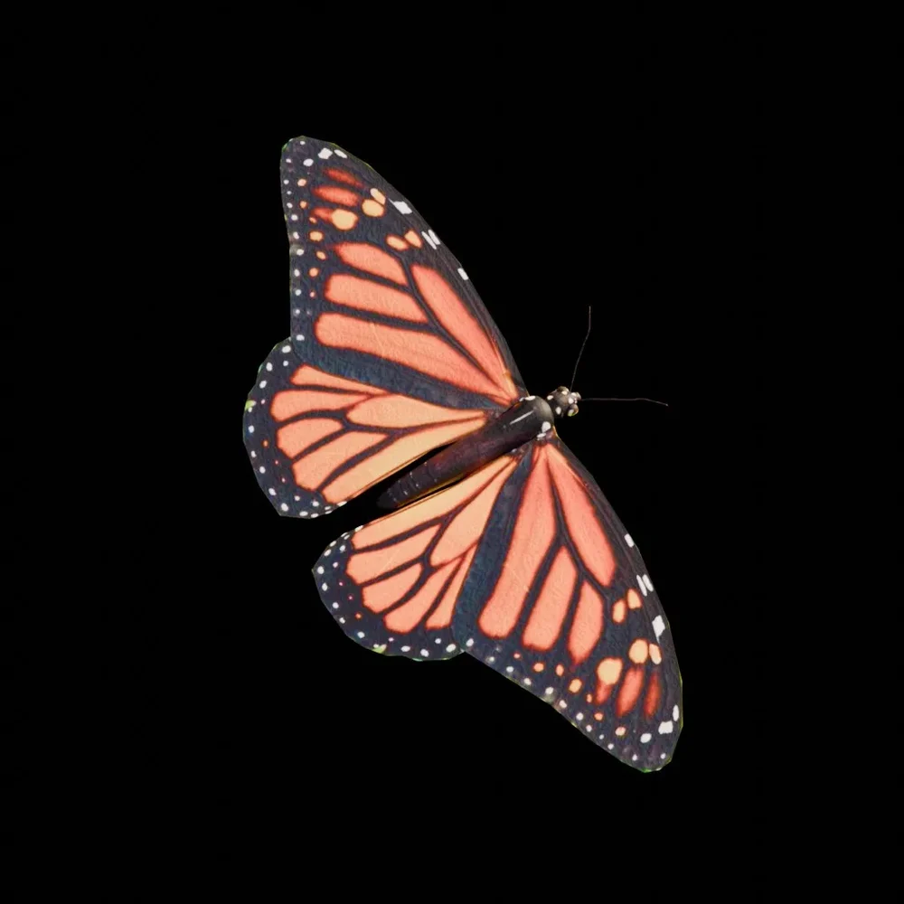 Real Butterfly