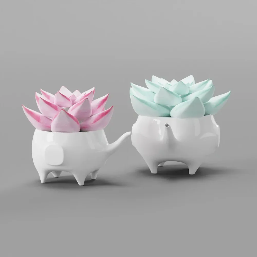 Pink Green Moon Stone Succulent Cactus