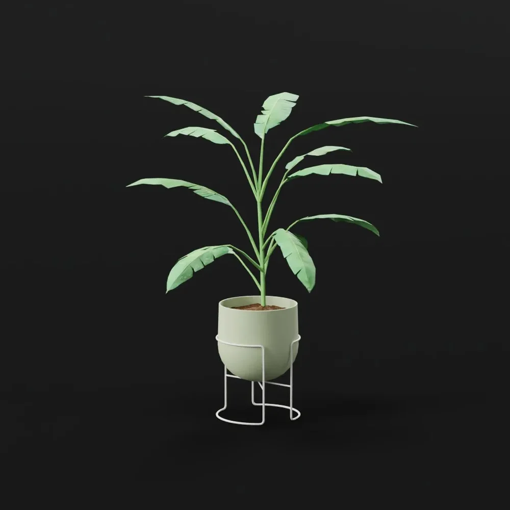 Heliconia Lobster Plant Small Potted