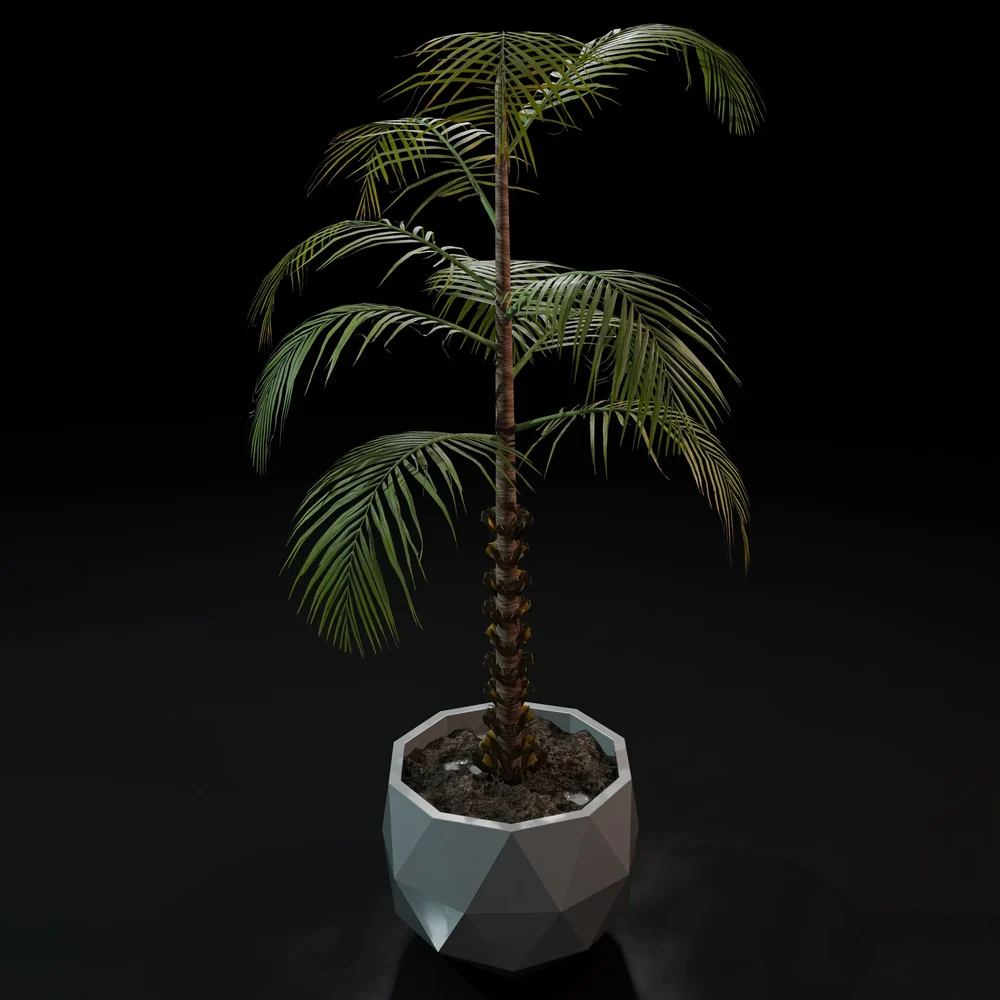 Decorative Palm Tree