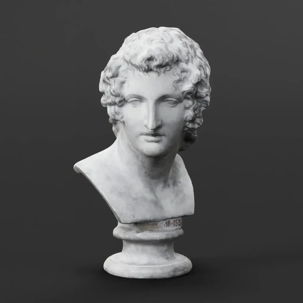 Bust Of A Man