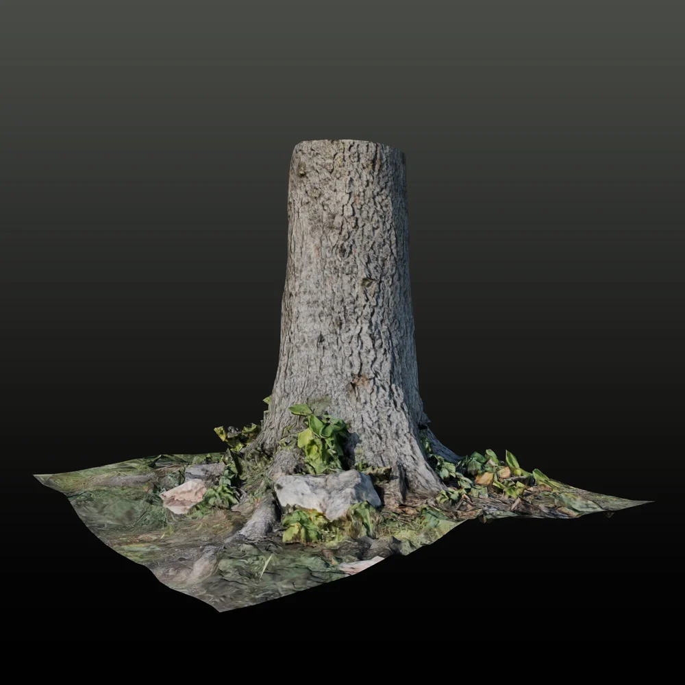 Tree Trunk A Lowpoly