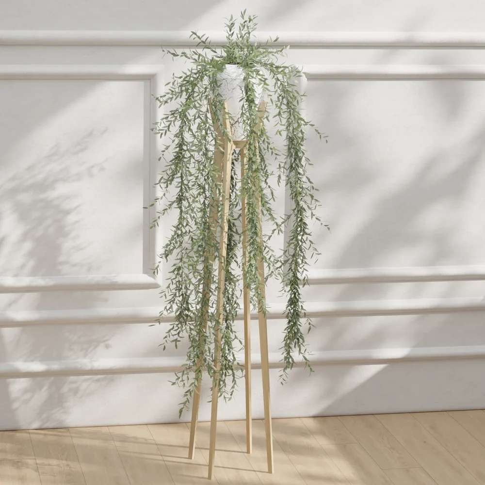 Hanging Willow Plant