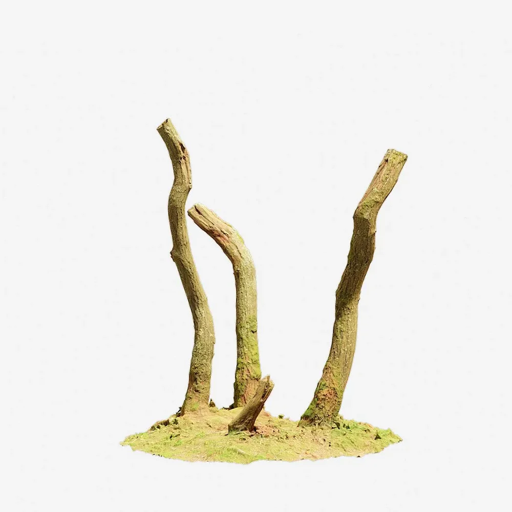 Oak Tree Trunk Small Pbr Scan 07