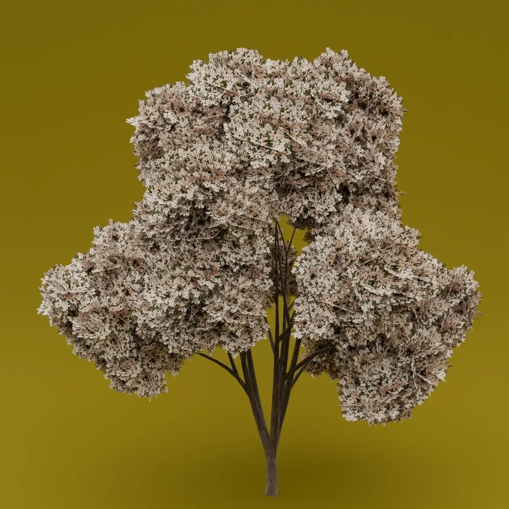 White Flowered-Light Green Leaved Tree