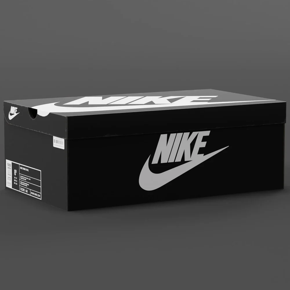 Nike Shoe Box V3