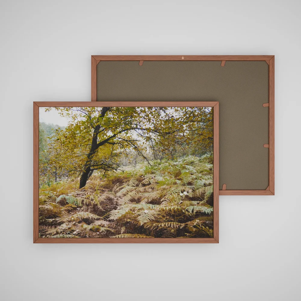 Autumn Colection Picture
