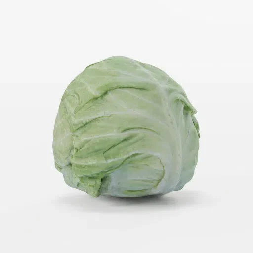 Cabbage Head