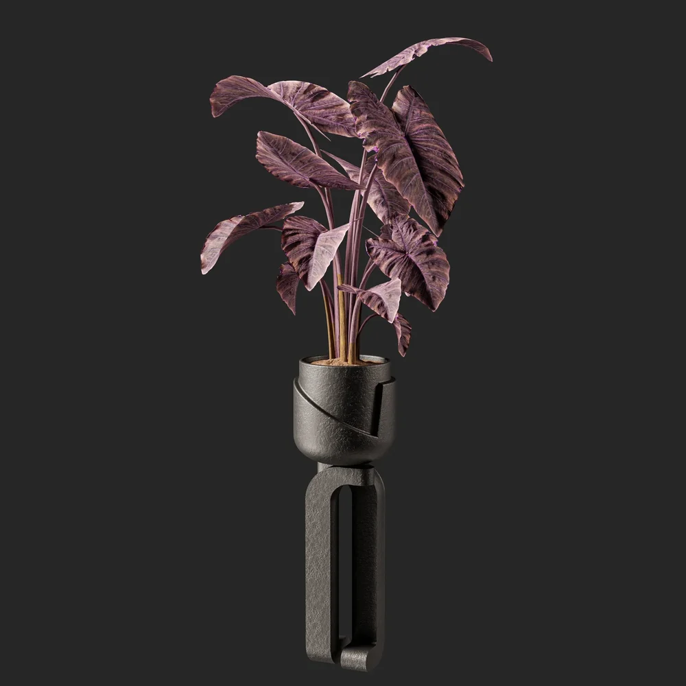 Modern Plant