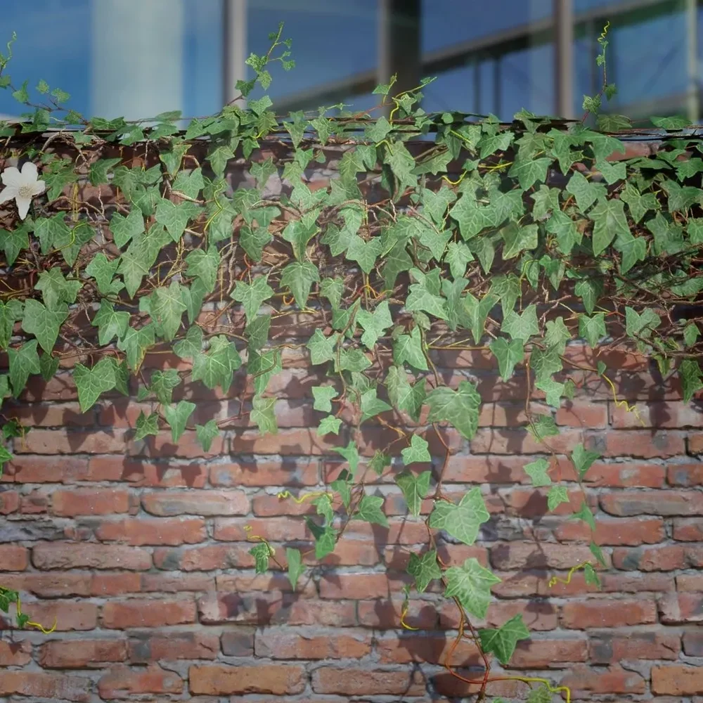 Ivy Creeper Ledge 2m 02 01