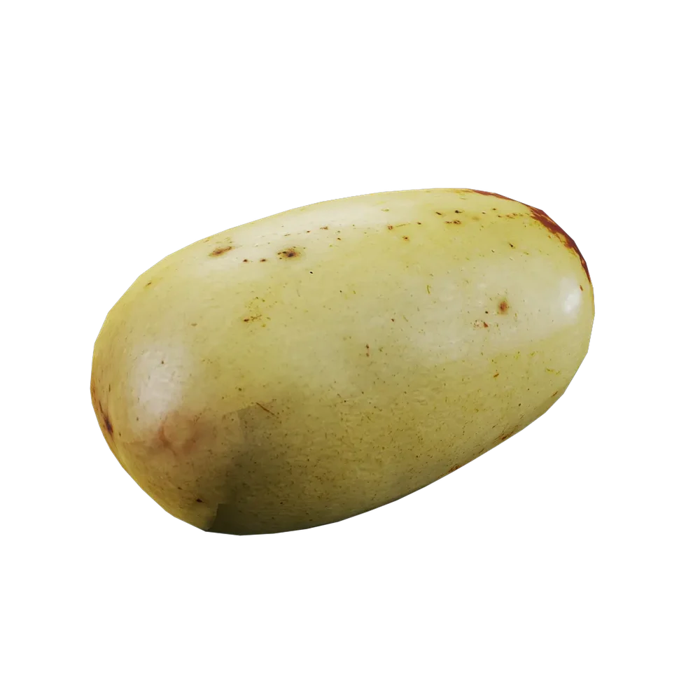 Ziziphus Jujuba