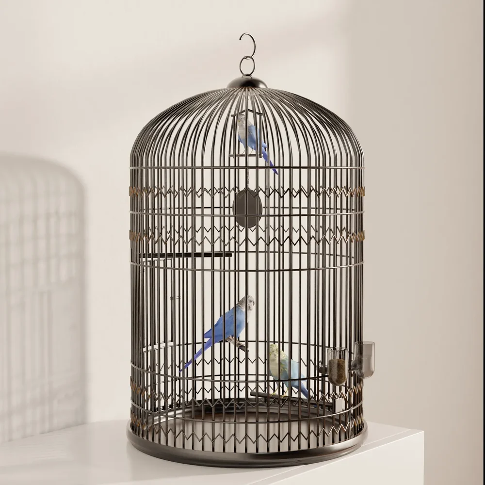Trio Of Colorful Budgies In Cage