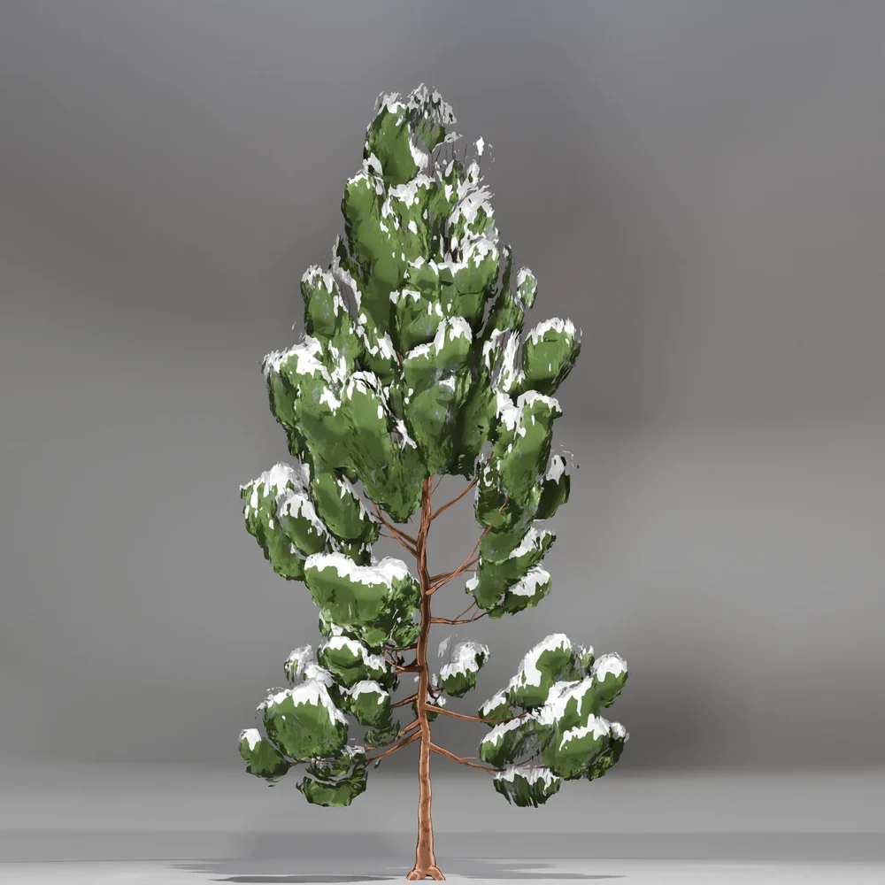 Snow Pine Toon Tree